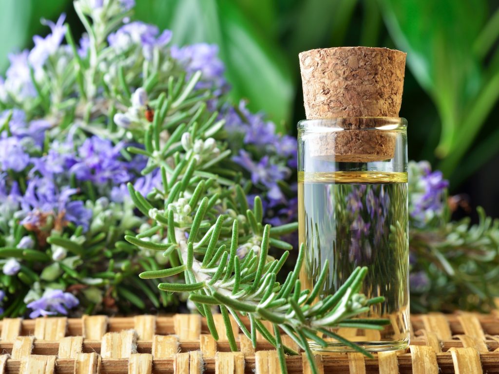 Rosemary essential oil for gout