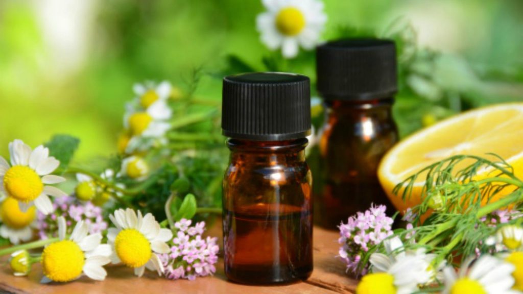 Chamomile oil: 