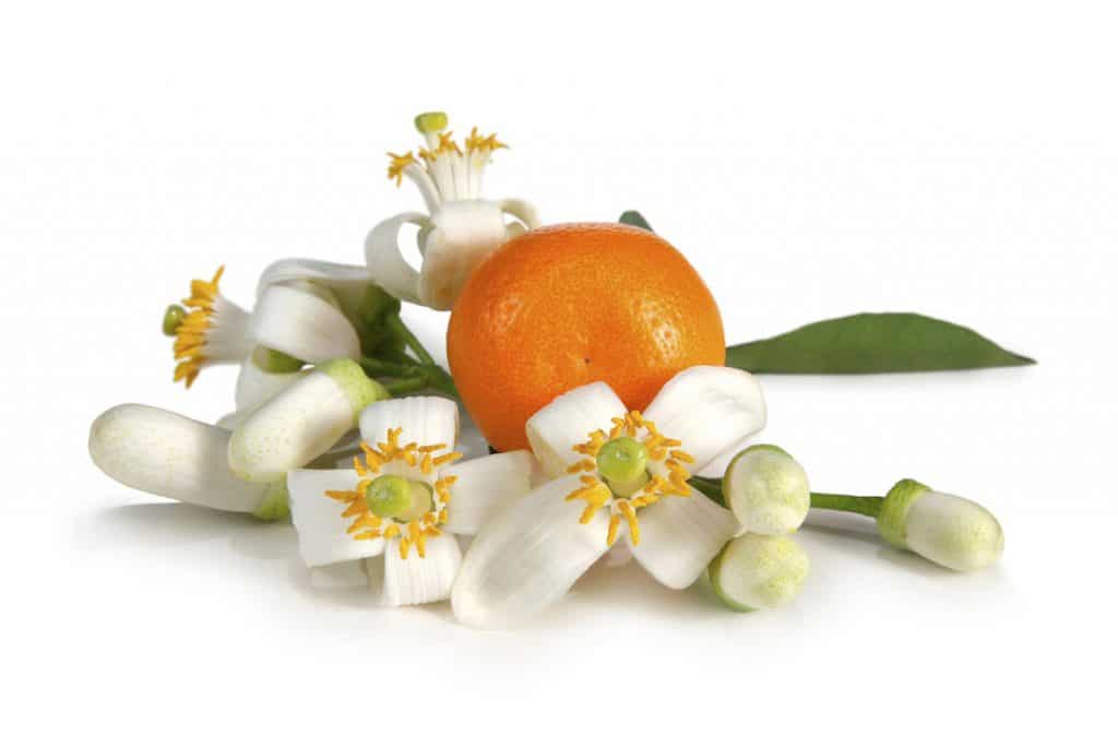 Neroli essential oil for romance