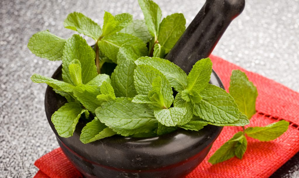 Peppermint Essential Oil for Back Pain