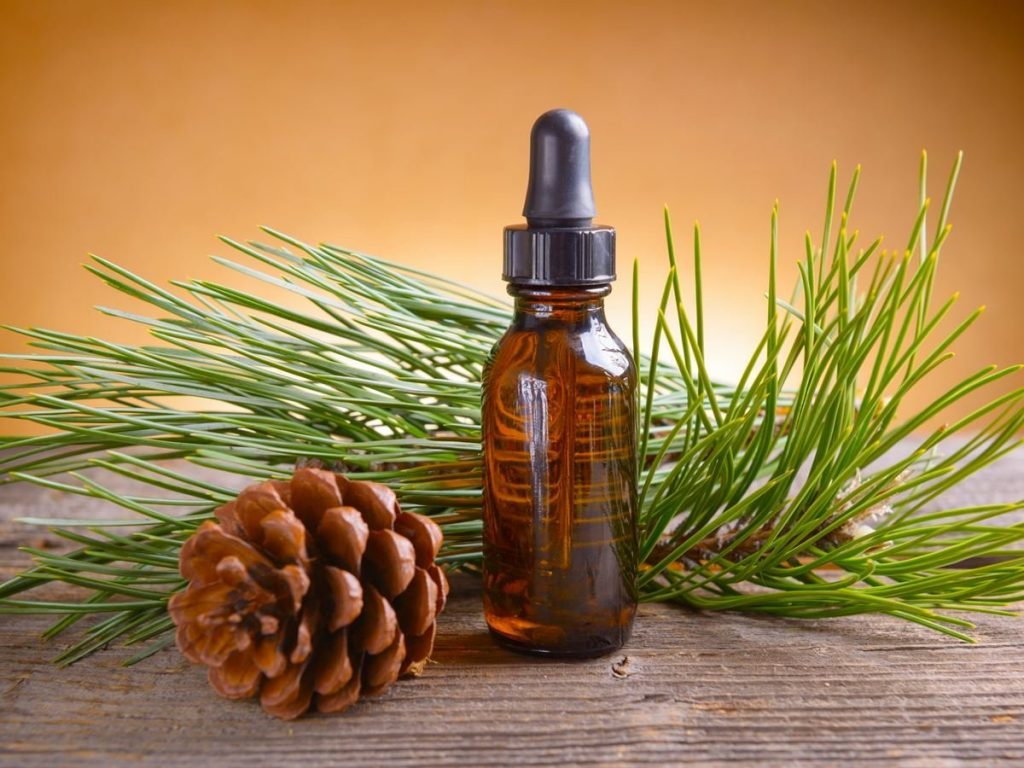 Pine essential oil for energy