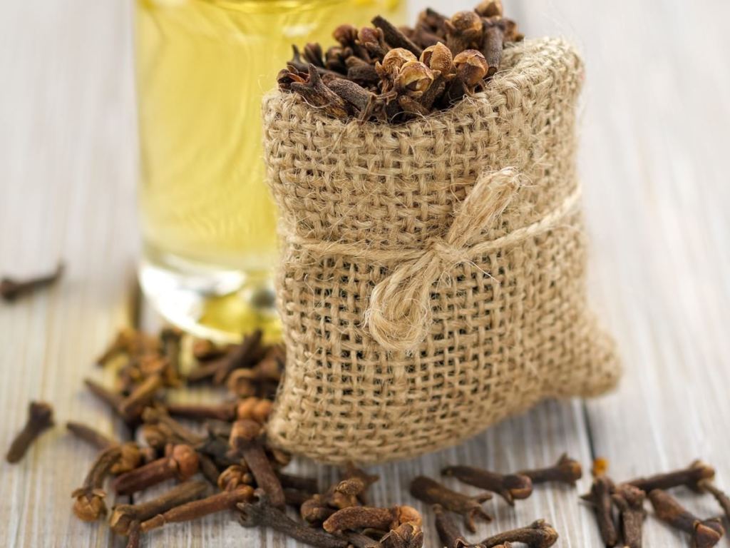 7 Best Antifungal Essential Oils For Toenail Fungus