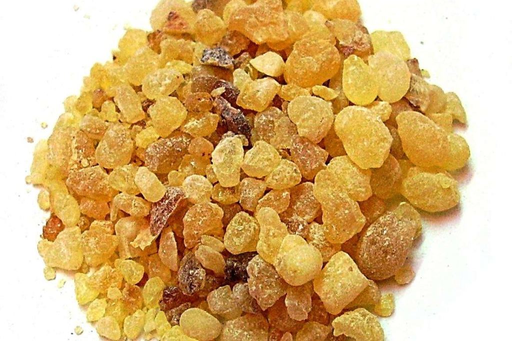 History of the Origin of Essential Oils Ancient Egyptian Oils