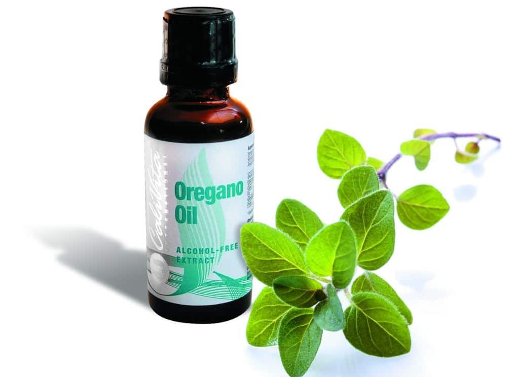 7 Best Essential Oils for bronchitis and Pneumonia that will help you