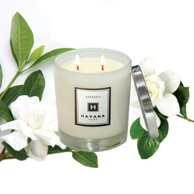 Gardenia Essential Oil Benefits Aromatherapy and Topical Application Recipes