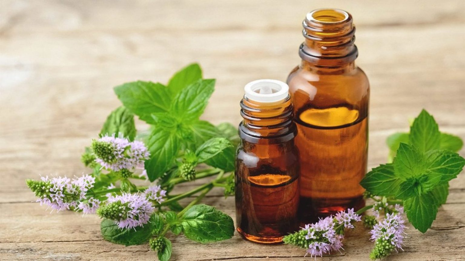 6 Best Essential Oils for Nerve Pain and How to Use Them Right