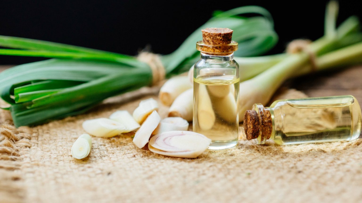 6 Best Essential Oils for Nerve Pain and How to Use Them Right