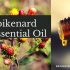 Honeysuckle Essential Oil: Overview, Homemade Blend, and Tips