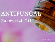 Best Antifungal Essential Oils: Review, Alternative Treatments and Recipes