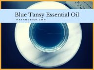 Blue Tansy Essential Oil: What You Have To Know About Tanacetum Annuum