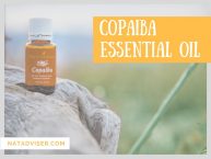 Copaiba Essential Oil: Uses And Benefits