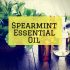 Neroli Essential Oil: Basics, Benefits, Uses, Recipes, & Applications