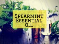 Spearmint Essential Oil: The Ultimate Guide to the Essential Oil of Spearmint