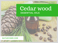 Cedar wood Essential Oil Review, Application and Useful Tips