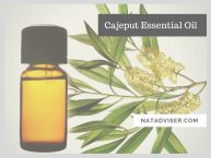 Health Benefits of Cajeput Essential Oil, Useful Tips and Natural Recipes