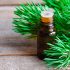 What Essential Oils Are Good for Itchy Skin: Recipes & Application Tips